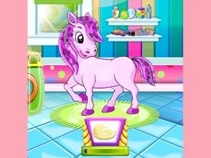 Pony Pet Salon